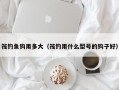 筏钓鱼钩用多大（筏钓用什么型号的钩子好）